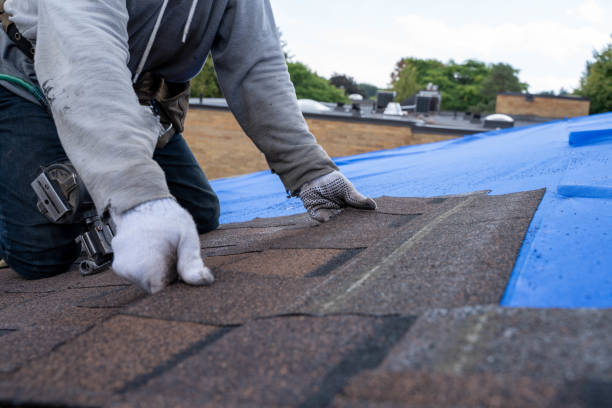 Best Shingle Roofing Installation  in Fort Madison, IA