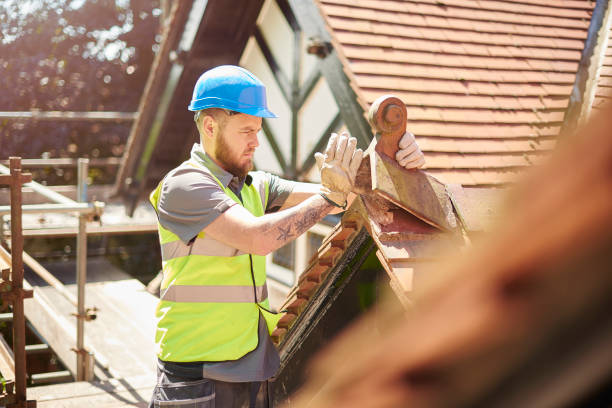 Best Roof Gutter Cleaning  in Fort Madison, IA